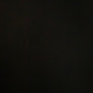 Meet your Posher, Hudson